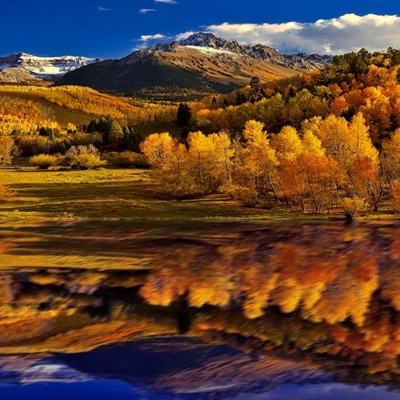 非凡体育APP下载