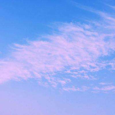 开云体云app手机app下载